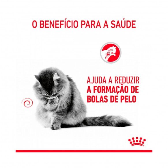 HAIRBALL CARE - 85GR
