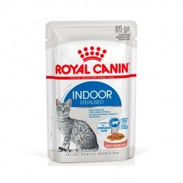 ROYAL CANIN INDOOR IN JELLY - 85GR