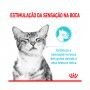 ROYAL CANIN SENSORY FEEL GRAVY - 85GR