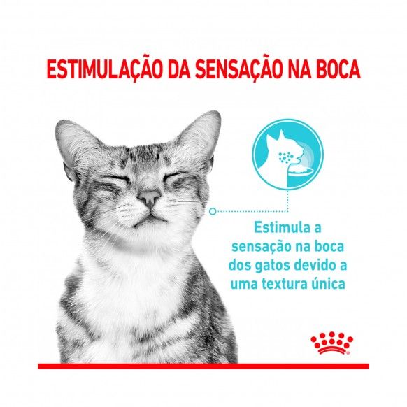 ROYAL CANIN SENSORY FEEL GRAVY - 85GR