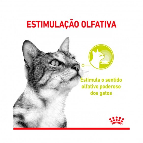 ROYAL CANIN SENSORY SMELL GRAVY - 85GR