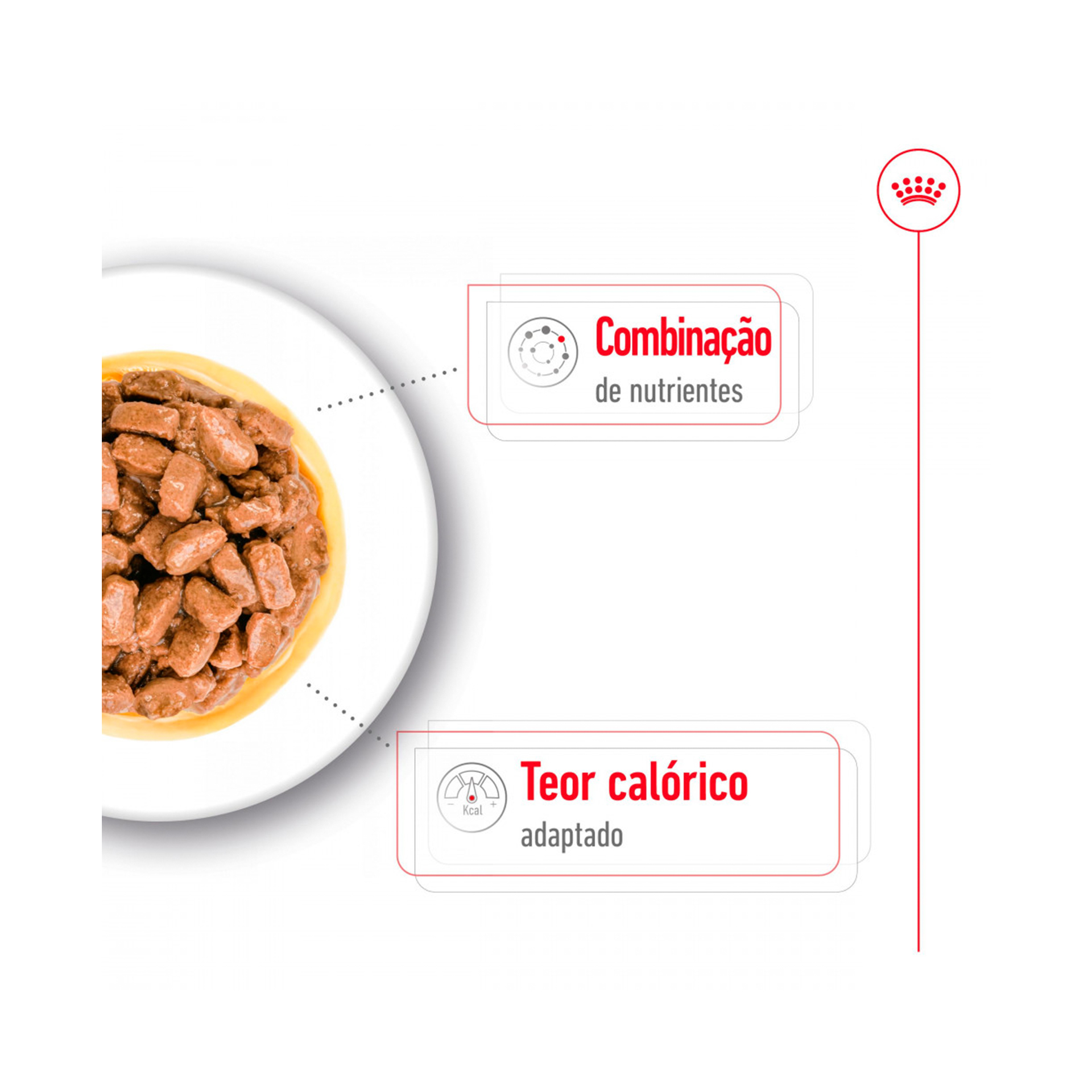 ROYAL CANIN MINI AGEING +12 - 85GR