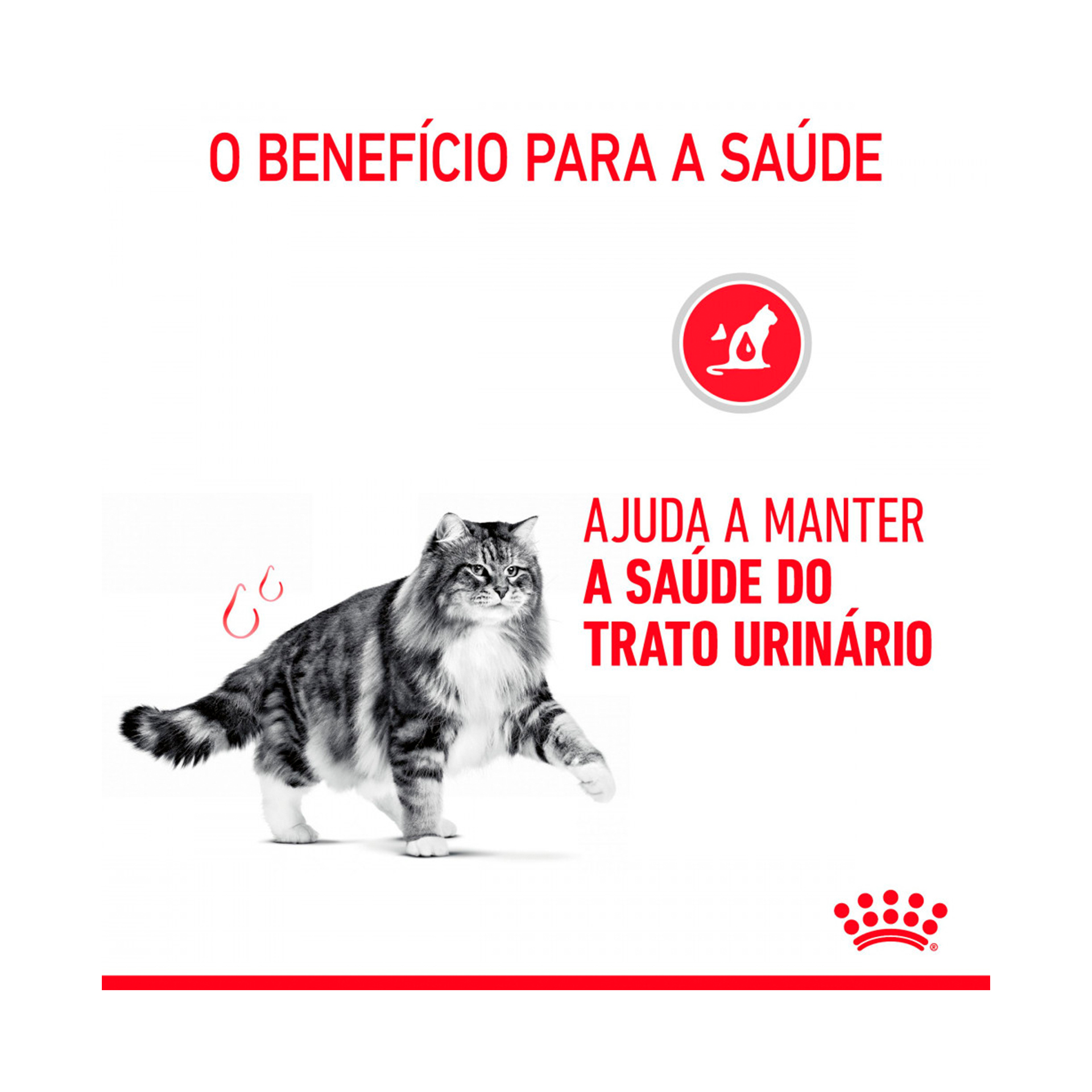 ROYAL CANIN URINARY CARE - 85GR