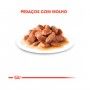 INSTINCTIVE - 85GR INSTINCTIVE - 85GR