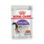 ROYAL CANIN STERILISED JELLY - 85GR