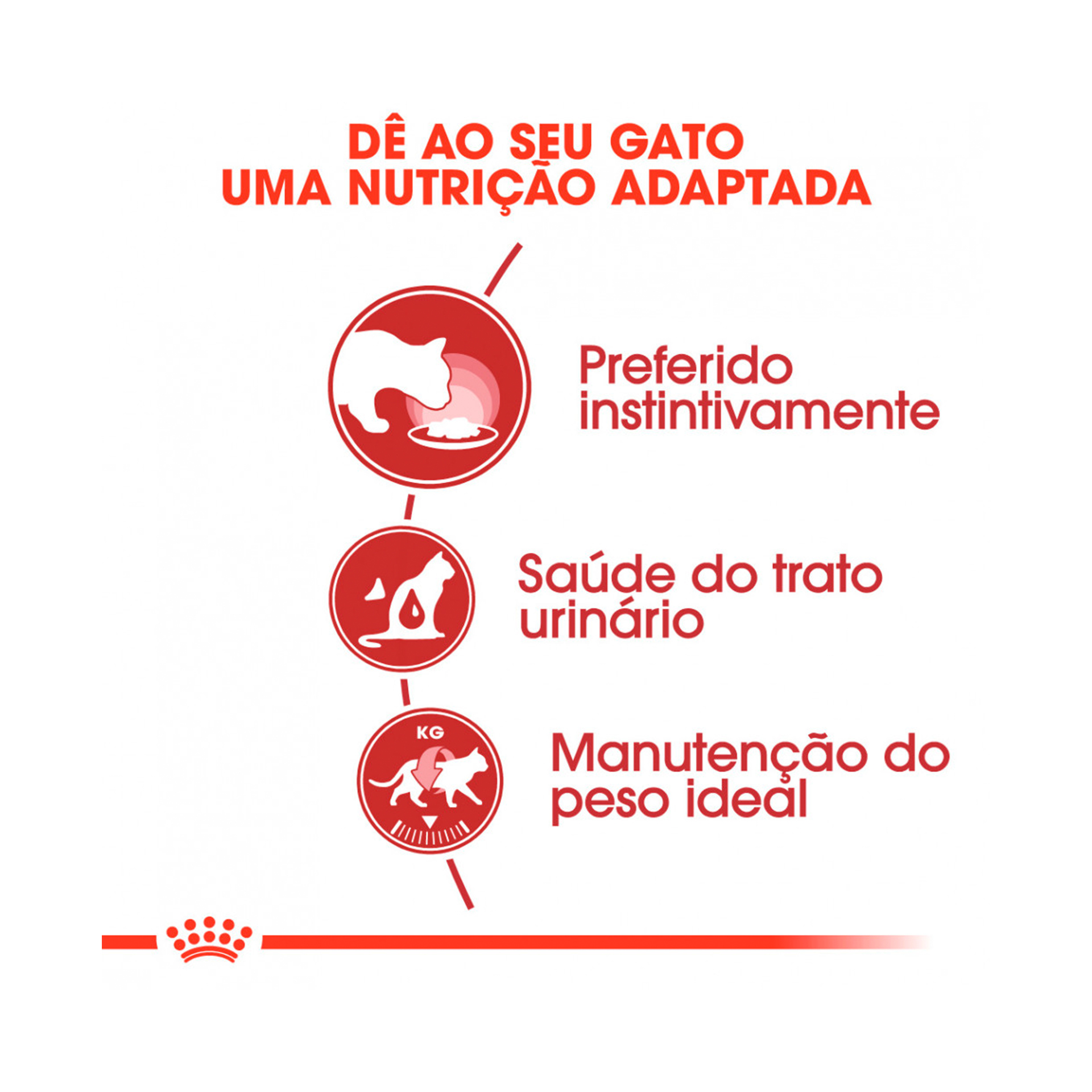 ROYAL CANIN INSTINCTIVE - 85GR