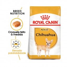 ROYAL CANIN CHIHUAHUA ADULT