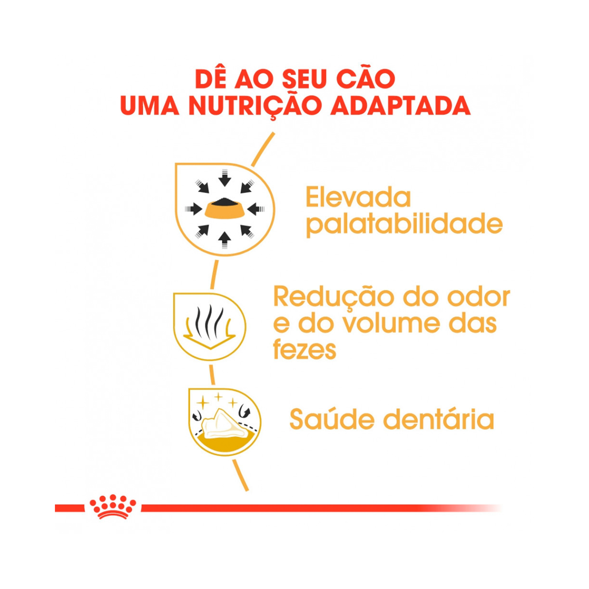 ROYAL CANIN CHIHUAHUA ADULT