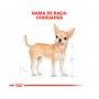 ROYAL CANIN CHIHUAHUA ADULT ROYAL CANIN CHIHUAHUA ADULT