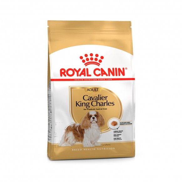 ROYAL CANIN CAV KING CHARLES - 3KG
