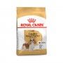 ROYAL CANIN CAV KING CHARLES - 3KG ROYAL CANIN CAV KING CHARLES - 3KG