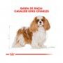 ROYAL CANIN CAV KING CHARLES - 3KG ROYAL CANIN CAV KING CHARLES - 3KG