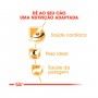ROYAL CANIN CAV KING CHARLES - 3KG ROYAL CANIN CAV KING CHARLES - 3KG