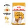 ROYAL CANIN CAV KING CHARLES - 3KG ROYAL CANIN CAV KING CHARLES - 3KG