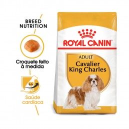ROYAL CANIN CAV KING CHARLES - 3KG