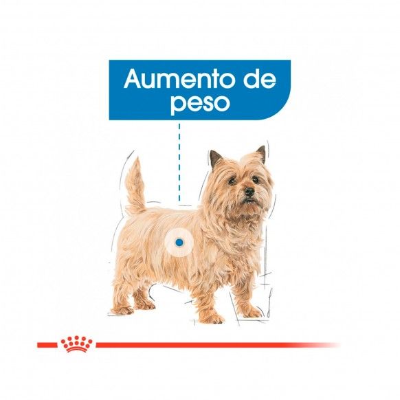 ROYAL CANIN LIGHT WEIGHTCARE - 85GR