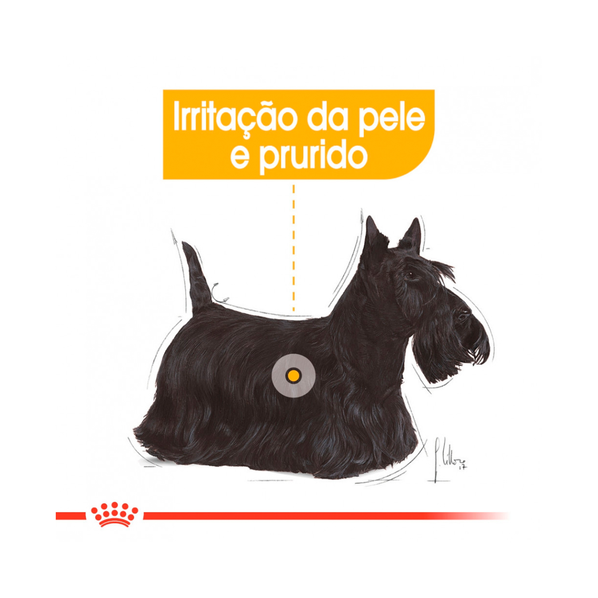 ROYAL CANIN DERMACOMFORT - 85GR
