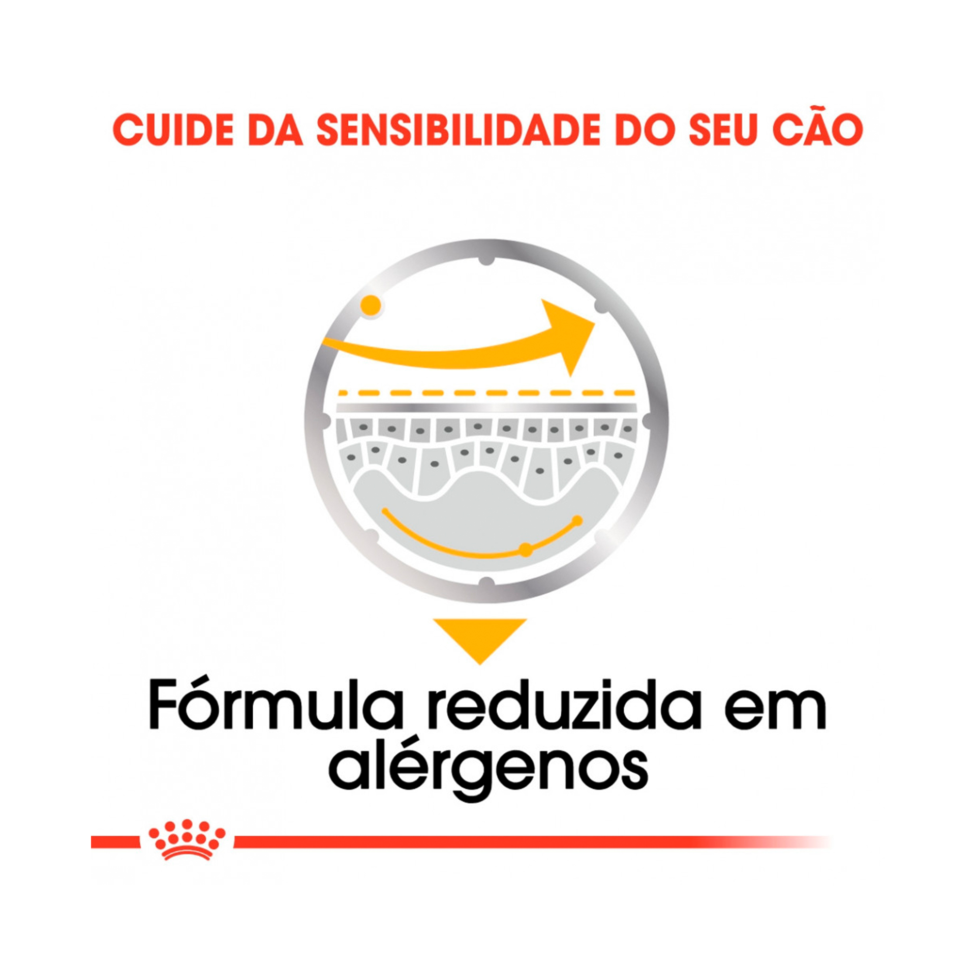 ROYAL CANIN DERMACOMFORT - 85GR