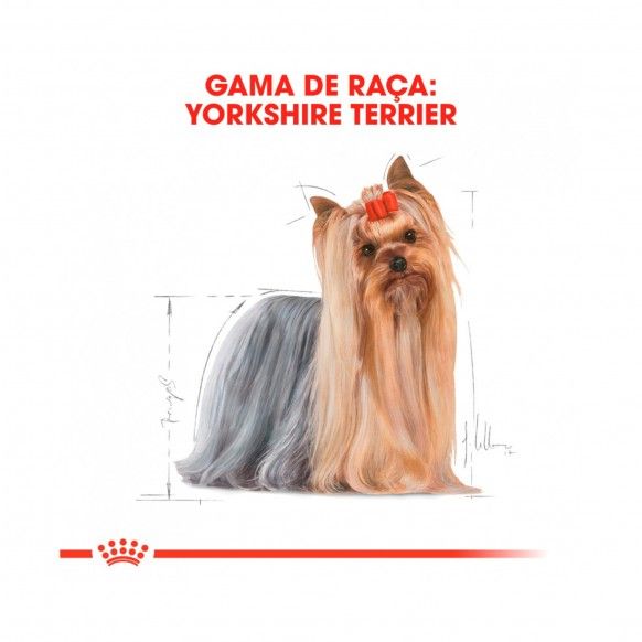 ROYAL CANIN YORKSHIRE WET - 85GR