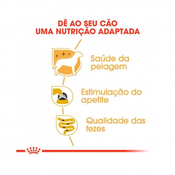 ROYAL CANIN YORKSHIRE WET - 85GR