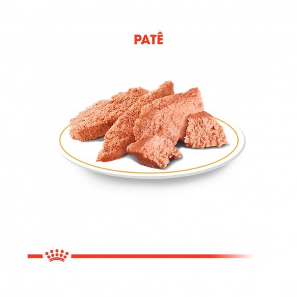 ROYAL CANIN YORKSHIRE WET - 85GR