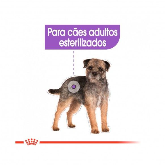 ROYAL CANIN STERILIZED - 85GR