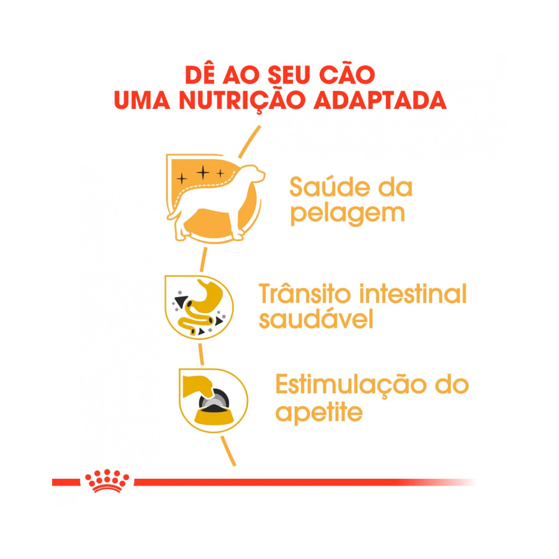 ROYAL CANIN CHIHUAHUA - 85GR