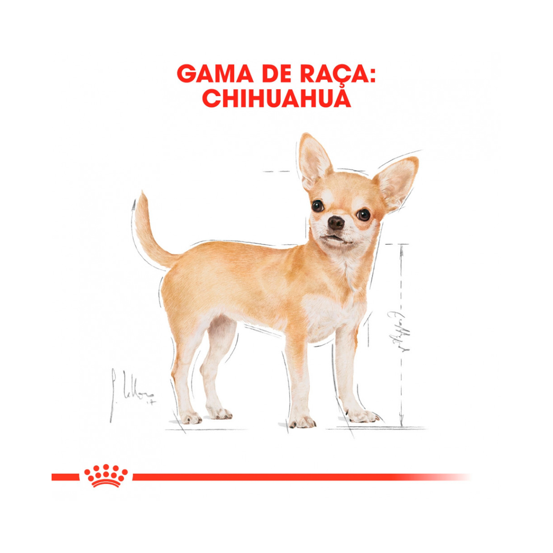 ROYAL CANIN CHIHUAHUA - 85GR