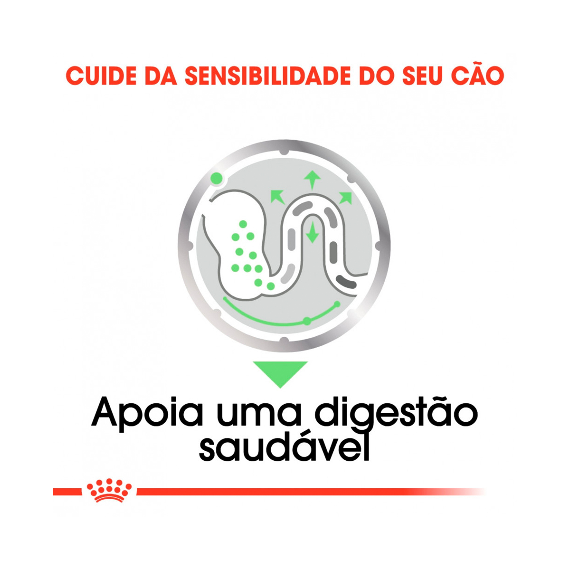 ROYAL CANIN DIGESTIVE CARE - 85GR