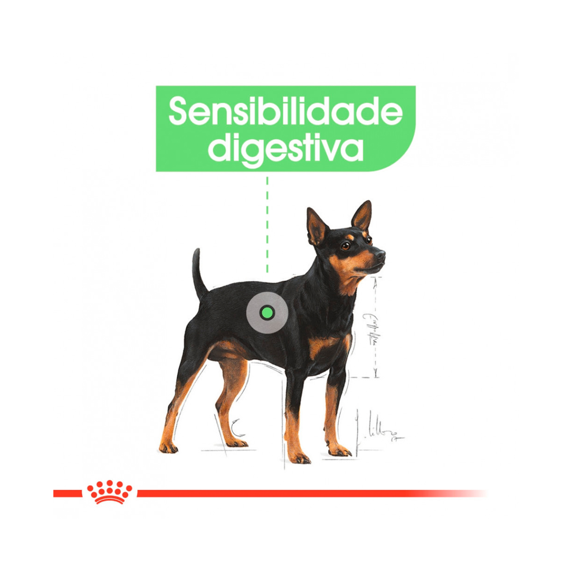 ROYAL CANIN DIGESTIVE CARE - 85GR