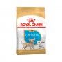 ROYAL CANIN CHIHUAHUA JUNIOR - 1.5KG ROYAL CANIN CHIHUAHUA JUNIOR - 1.5KG