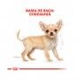 ROYAL CANIN CHIHUAHUA JUNIOR - 1.5KG ROYAL CANIN CHIHUAHUA JUNIOR - 1.5KG