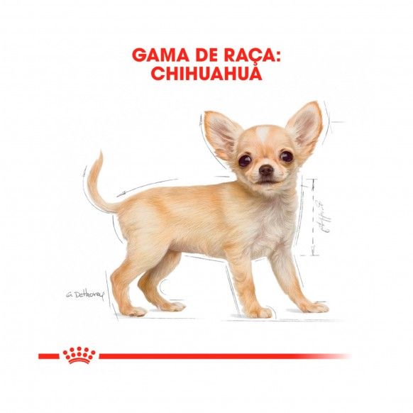 ROYAL CANIN CHIHUAHUA JUNIOR - 1.5KG