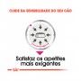 CCN EXIGENT - 85GR CCN EXIGENT - 85GR