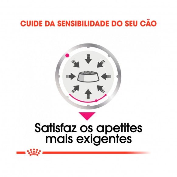CCN EXIGENT - 85GR