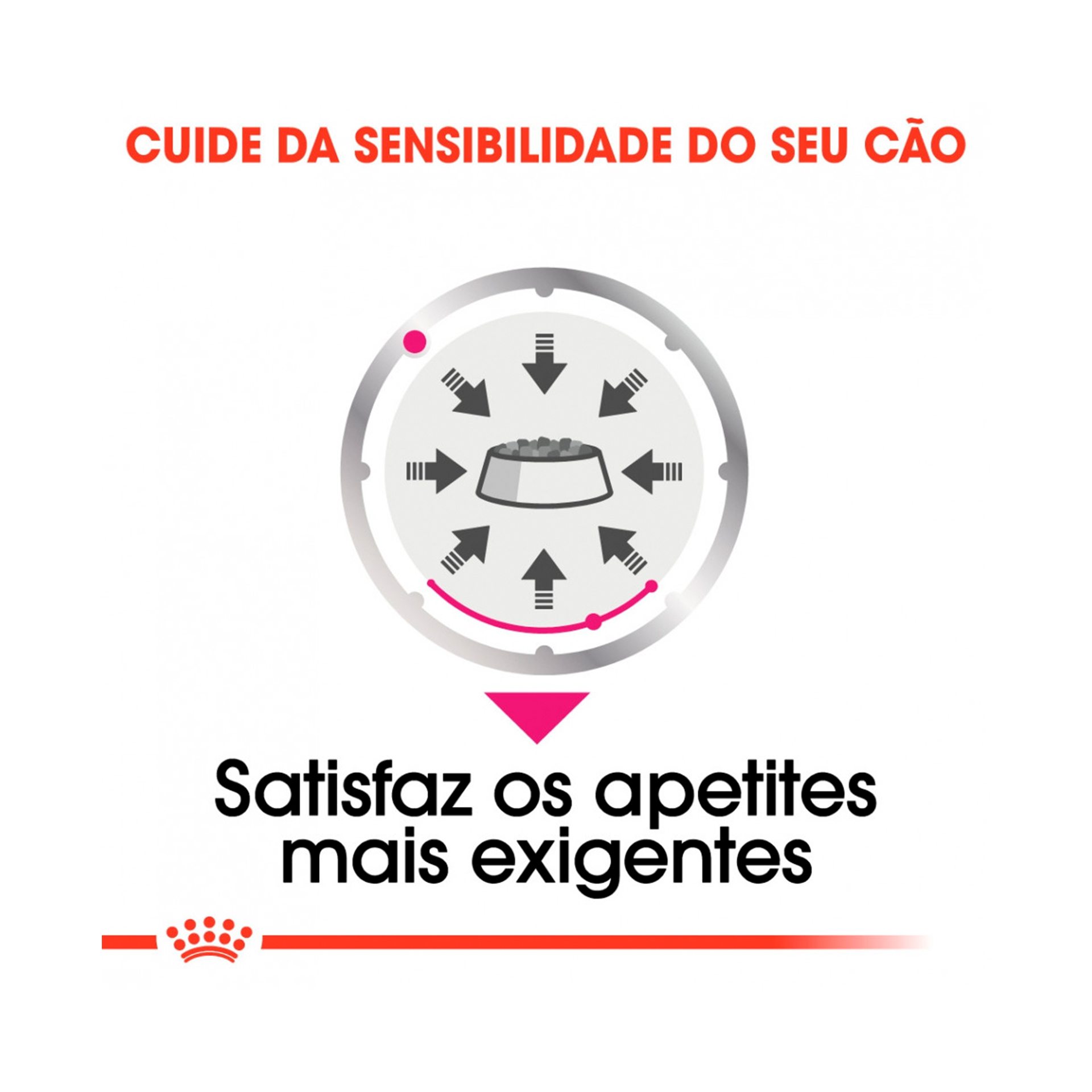 ROYAL CANIN EXIGENT - 85GR