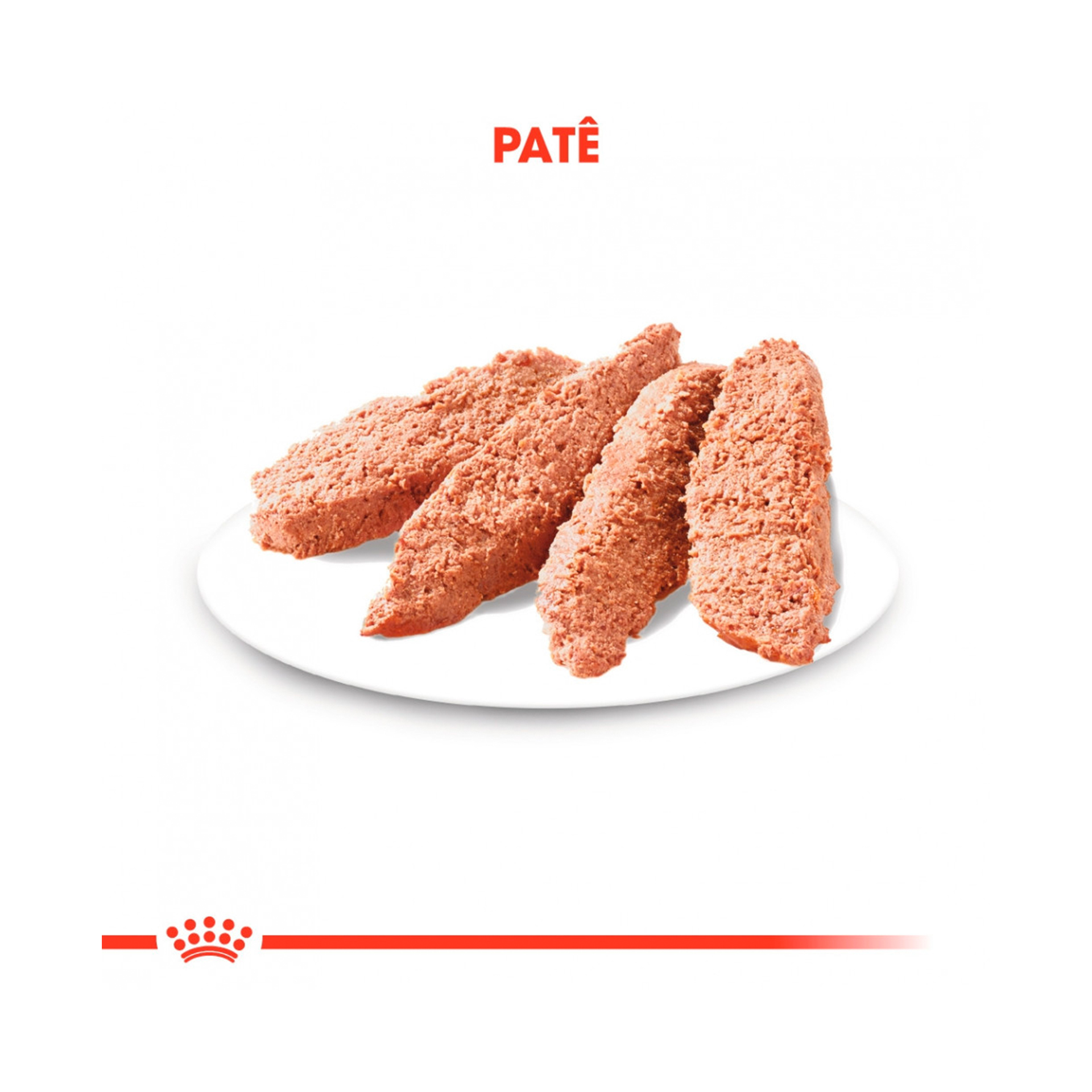 ROYAL CANIN EXIGENT - 85GR