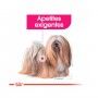 CCN EXIGENT - 85GR CCN EXIGENT - 85GR