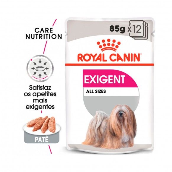 CCN EXIGENT - 85GR