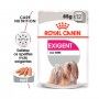 CCN EXIGENT - 85GR CCN EXIGENT - 85GR