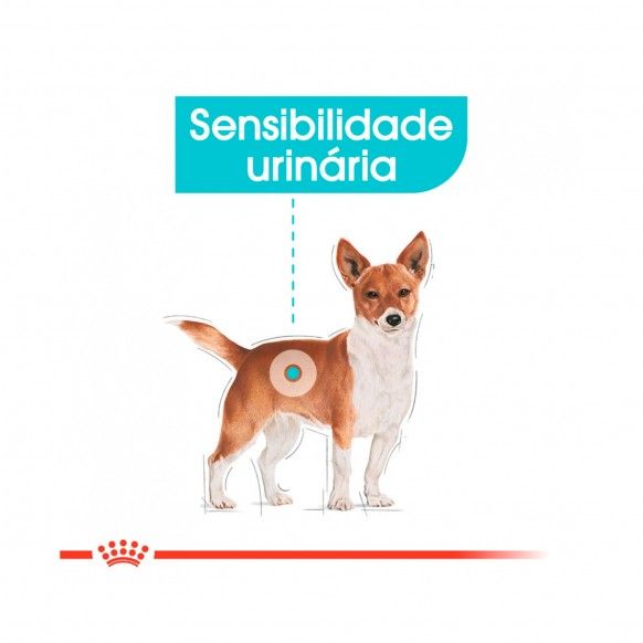 ROYAL CANIN URINARY CARE - 85GR