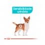 ROYAL CANIN URINARY CARE - 85GR
