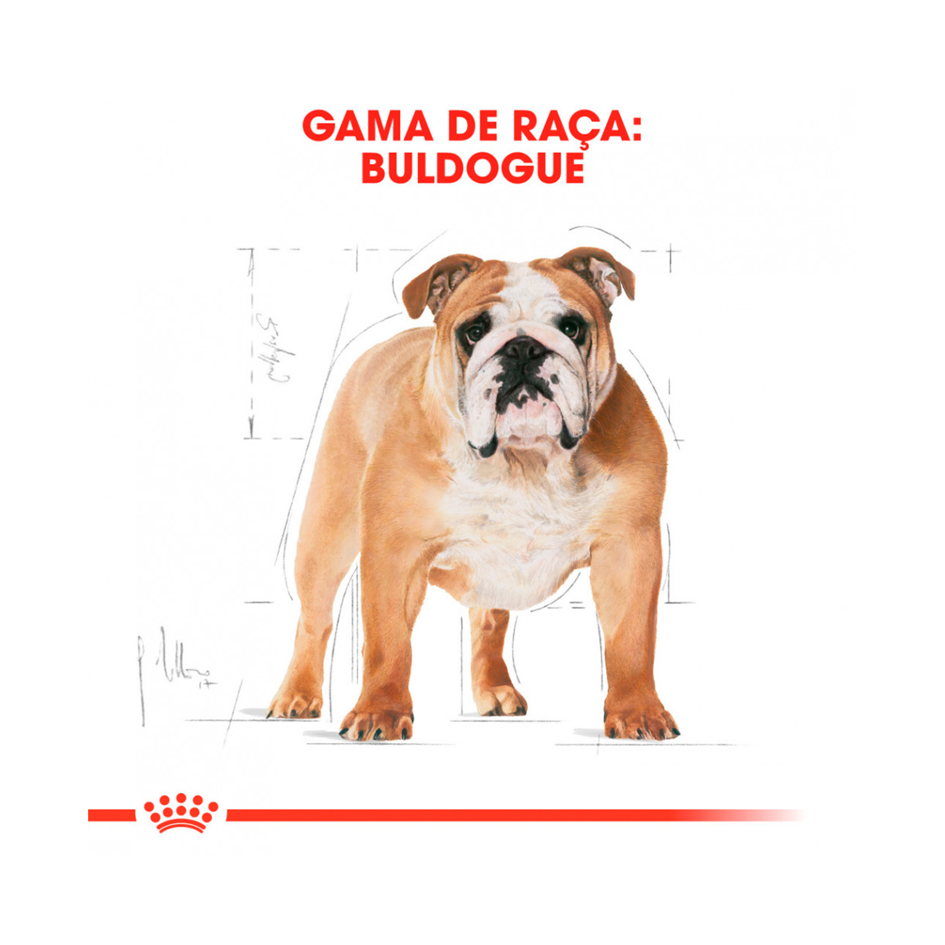 ROYAL CANIN BULLDOG ADULT - 12KG