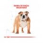BHN BULLDOG ADULT - 12KG BHN BULLDOG ADULT - 12KG