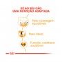 ROYAL CANIN COCKER ADULT - 3KG ROYAL CANIN COCKER ADULT - 3KG