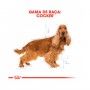 ROYAL CANIN COCKER ADULT - 3KG ROYAL CANIN COCKER ADULT - 3KG