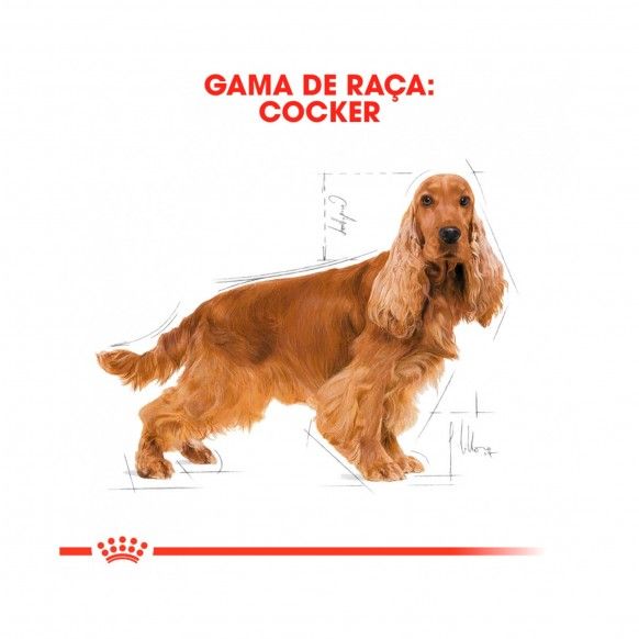 ROYAL CANIN COCKER ADULT - 3KG
