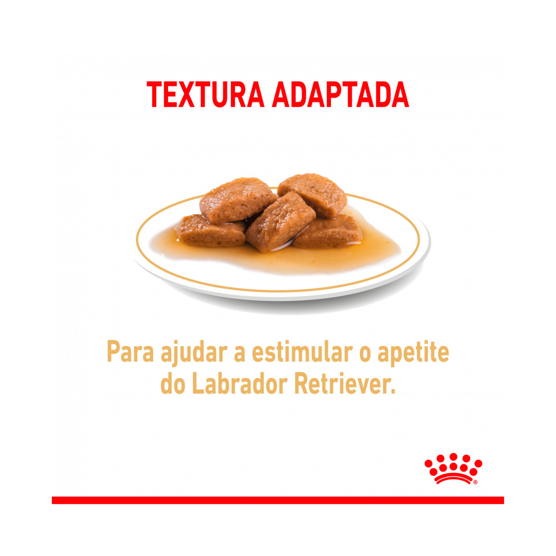 ROYAL CANIN LABRADOR - 140GR