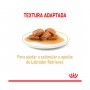 ROYAL CANIN LABRADOR - 140GR ROYAL CANIN LABRADOR - 140GR