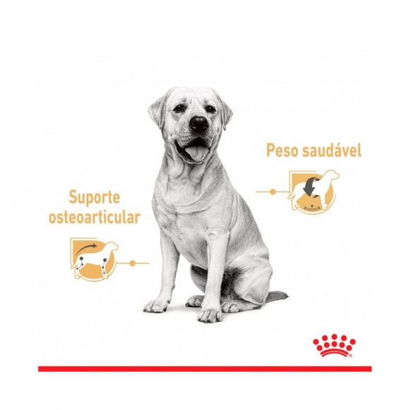 ROYAL CANIN LABRADOR - 140GR